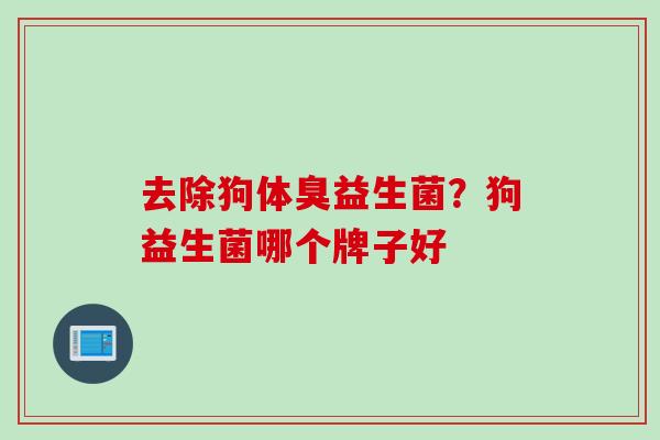 去除狗体臭益生菌？狗益生菌哪个牌子好