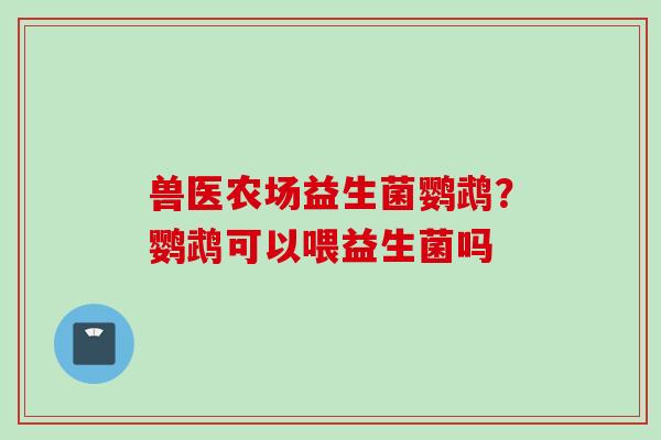 兽医农场益生菌鹦鹉？鹦鹉可以喂益生菌吗