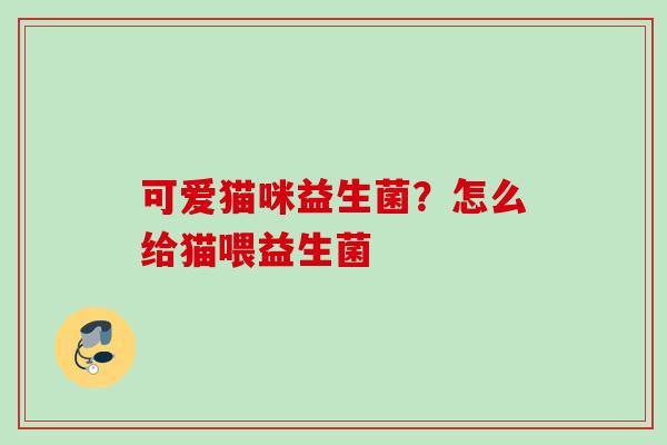 可爱猫咪益生菌？怎么给猫喂益生菌