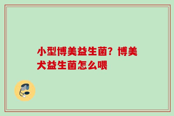 小型博美益生菌？博美犬益生菌怎么喂