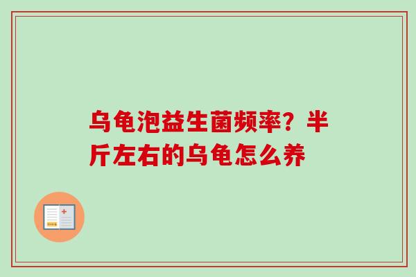 乌龟泡益生菌频率?半斤左右的乌龟怎么养 乌龟泡益生菌频率?半斤左右的乌龟怎么养