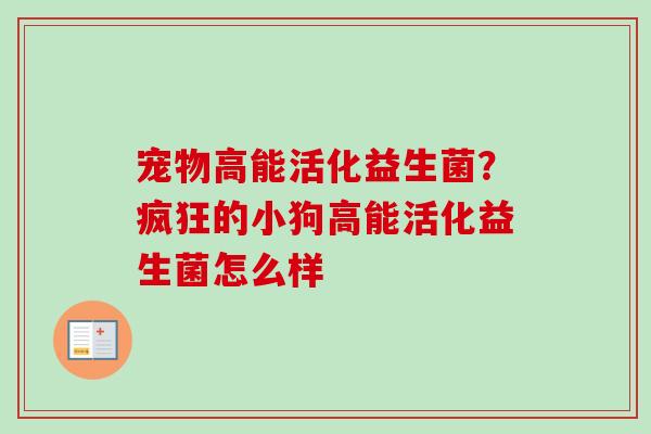 宠物高能活化益生菌？疯狂的小狗高能活化益生菌怎么样