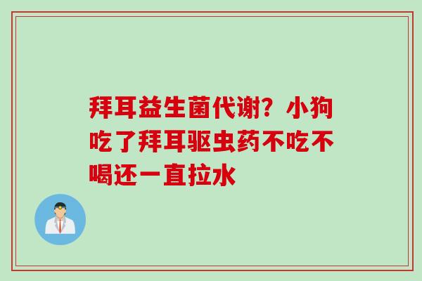 拜耳益生菌代谢？小狗吃了拜耳驱虫药不吃不喝还一直拉水