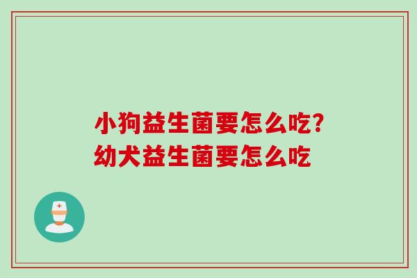 小狗益生菌要怎么吃？幼犬益生菌要怎么吃