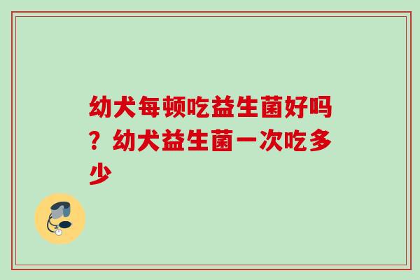 幼犬每顿吃益生菌好吗？幼犬益生菌一次吃多少