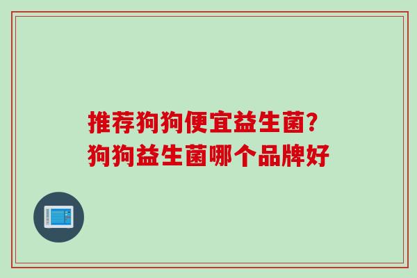 推荐狗狗便宜益生菌？狗狗益生菌哪个品牌好
