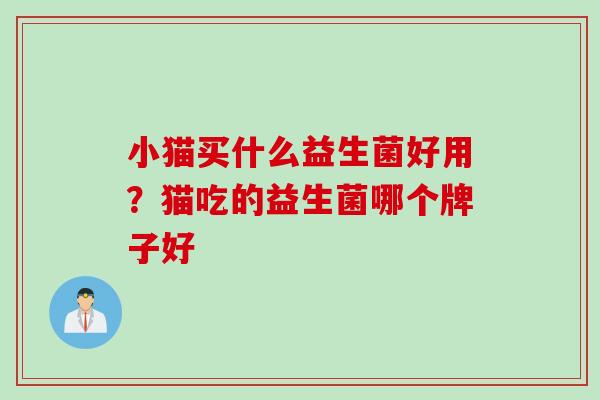 小猫买什么益生菌好用？猫吃的益生菌哪个牌子好