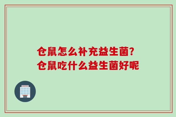 仓鼠怎么补充益生菌？仓鼠吃什么益生菌好呢