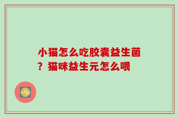 小猫怎么吃胶囊益生菌？猫咪益生元怎么喂