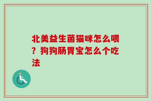 北美益生菌猫咪怎么喂？狗狗肠胃宝怎么个吃法
