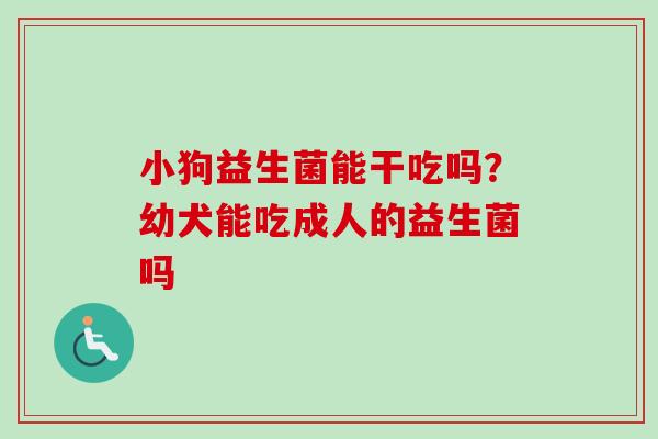 小狗益生菌能干吃吗？幼犬能吃成人的益生菌吗