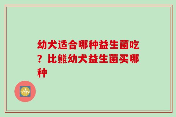 幼犬适合哪种益生菌吃？比熊幼犬益生菌买哪种