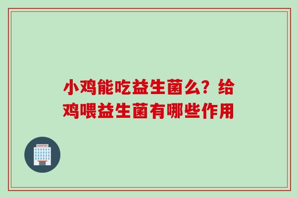 小鸡能吃益生菌么？给鸡喂益生菌有哪些作用