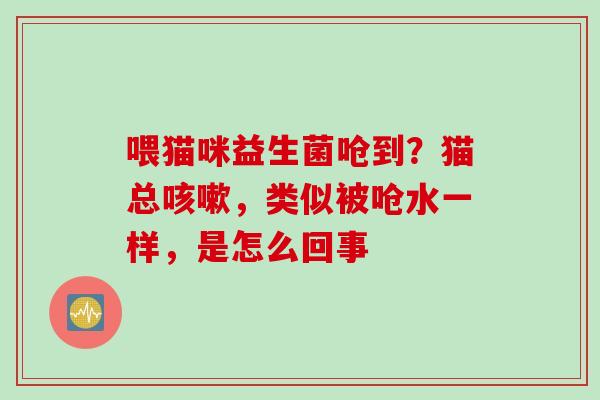 喂猫咪益生菌呛到?猫总,类似被呛水一样,是怎么回事 喂猫咪益生菌呛到?猫总,类似被呛水一样,是怎么回事