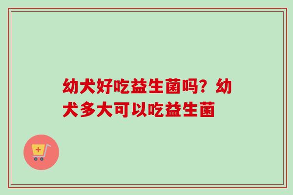 幼犬好吃益生菌吗?幼犬多大可以吃益生菌 幼犬好吃益生菌吗?幼犬多大可以吃益生菌