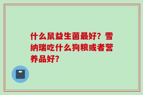 什么鼠益生菌好？雪纳瑞吃什么狗粮或者营养品好？