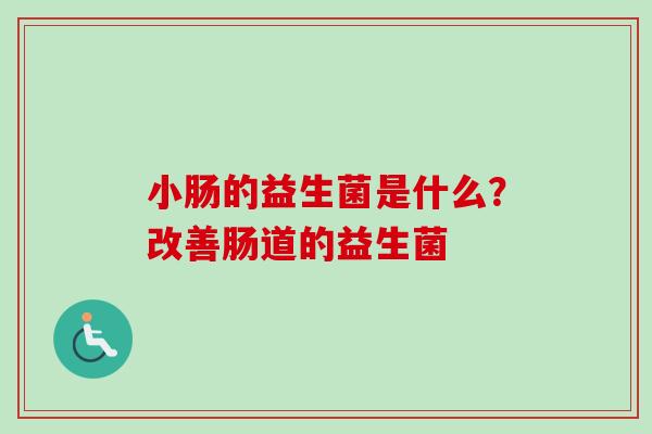 小肠的益生菌是什么？改善肠道的益生菌