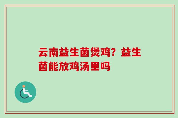 云南益生菌煲鸡？益生菌能放鸡汤里吗
