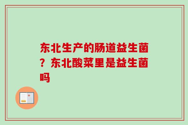 东北生产的肠道益生菌？东北酸菜里是益生菌吗