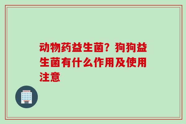 动物药益生菌?狗狗益生菌有什么作用及使用注意 动物药益生菌?狗狗益生菌有什么作用及使用注意