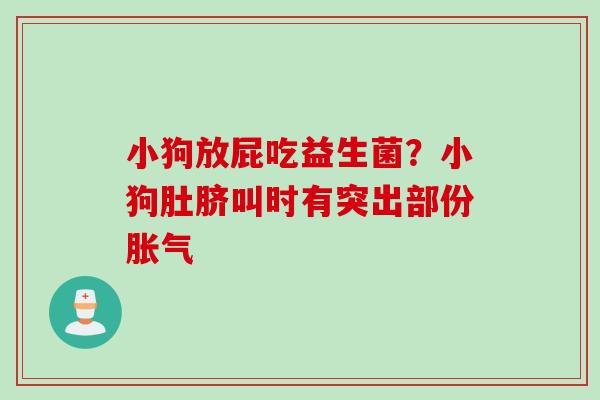 小狗放屁吃益生菌？小狗肚脐叫时有突出部份