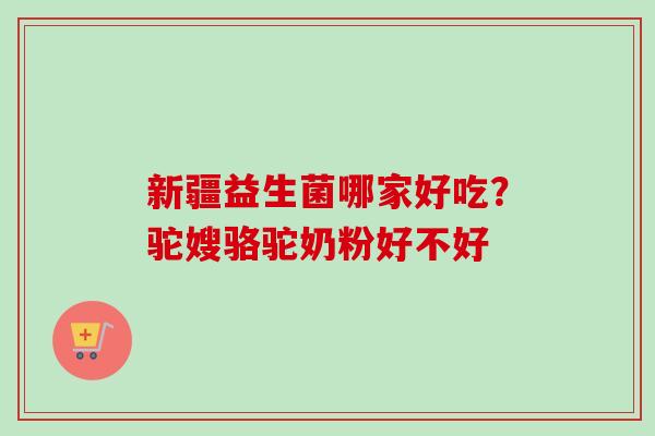 新疆益生菌哪家好吃？驼嫂骆驼奶粉好不好