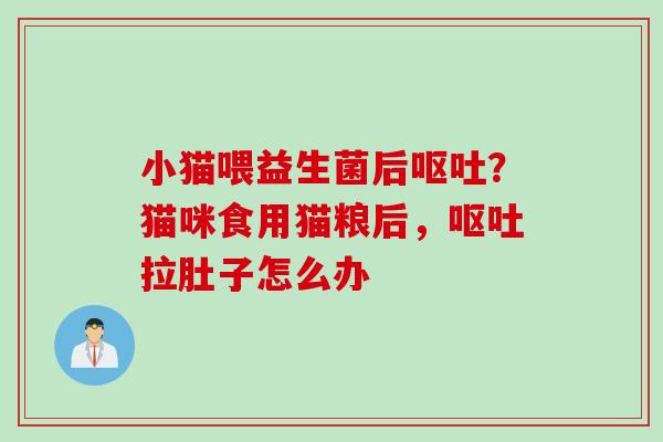 小猫喂益生菌后?猫咪食用猫粮后,拉肚子怎么办 小猫喂益生菌后?猫咪食用猫粮后,拉肚子怎么办