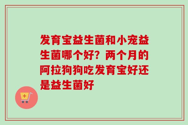 发育宝益生菌和小宠益生菌哪个好?两个月的阿拉狗狗吃发育宝好还是益生菌好 发育宝益生菌和小宠益生菌哪个好?两个月的阿拉狗狗吃发育宝好还是益生菌好