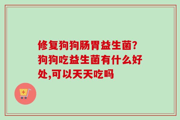 修复狗狗肠胃益生菌？狗狗吃益生菌有什么好处,可以天天吃吗