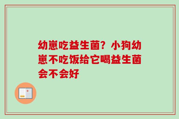 幼崽吃益生菌？小狗幼崽不吃饭给它喝益生菌会不会好