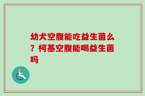 幼犬空腹能吃益生菌么?柯基空腹能喝益生菌吗 幼犬空腹能吃益生菌么?柯基空腹能喝益生菌吗