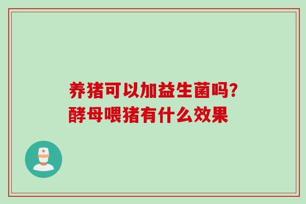养猪可以加益生菌吗?酵母喂猪有什么效果 养猪可以加益生菌吗?酵母喂猪有什么效果