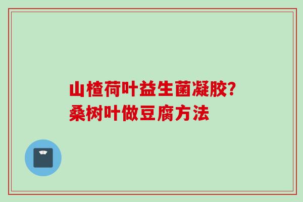 山楂荷叶益生菌凝胶？桑树叶做豆腐方法