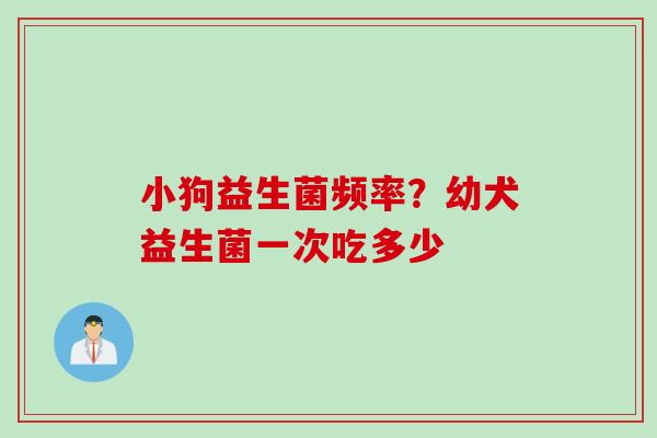小狗益生菌频率？幼犬益生菌一次吃多少