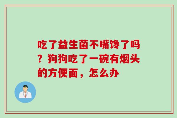 吃了益生菌不嘴馋了吗？狗狗吃了一碗有烟头的方便面，怎么办