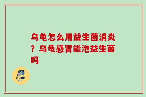 乌龟怎么用益生菌？乌龟能泡益生菌吗