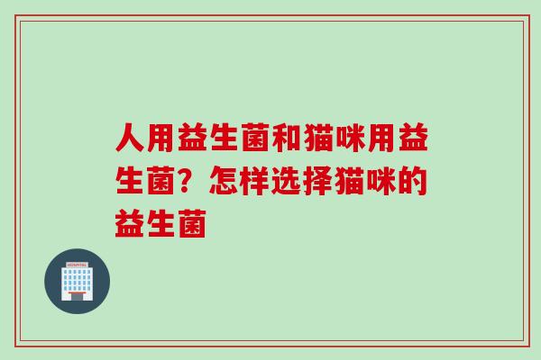 人用益生菌和猫咪用益生菌?怎样选择猫咪的益生菌 人用益生菌和猫咪用益生菌?怎样选择猫咪的益生菌