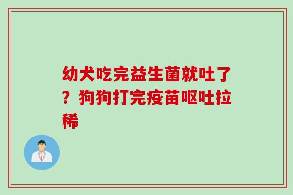 幼犬吃完益生菌就吐了?狗狗打完疫苗拉稀 幼犬吃完益生菌就吐了?狗狗打完疫苗拉稀