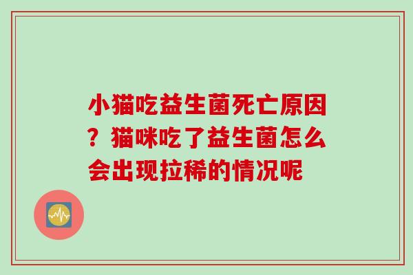 小猫吃益生菌死亡原因?猫咪吃了益生菌怎么会出现拉稀的情况呢 小猫吃益生菌死亡原因?猫咪吃了益生菌怎么会出现拉稀的情况呢
