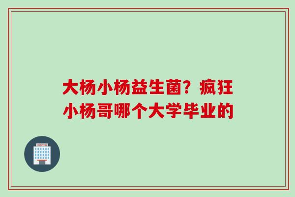 大杨小杨益生菌？疯狂小杨哥哪个大学毕业的