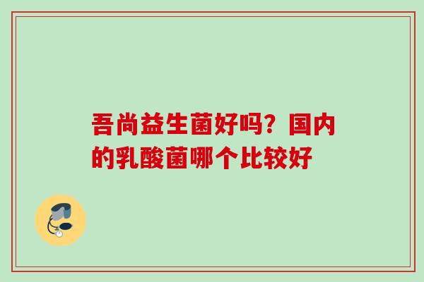 吾尚益生菌好吗？国内的乳酸菌哪个比较好