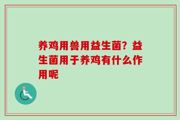 养鸡用兽用益生菌？益生菌用于养鸡有什么作用呢