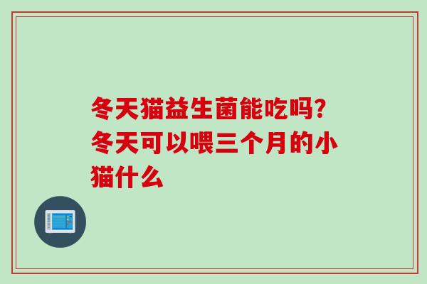 冬天猫益生菌能吃吗?冬天可以喂三个月的小猫什么 冬天猫益生菌能吃吗?冬天可以喂三个月的小猫什么