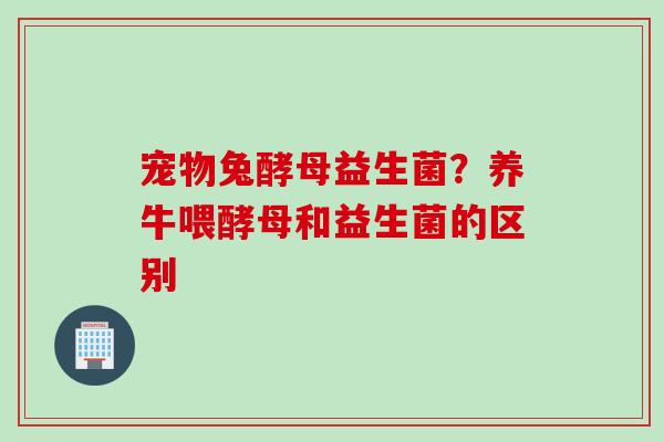 宠物兔酵母益生菌?养牛喂酵母和益生菌的区别 宠物兔酵母益生菌?养牛喂酵母和益生菌的区别
