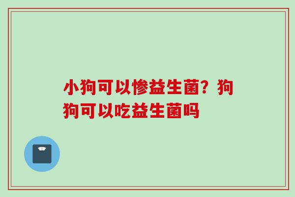 小狗可以惨益生菌？狗狗可以吃益生菌吗