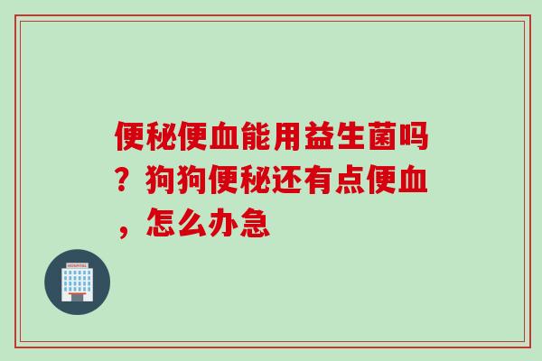 便能用益生菌吗?狗狗还有点便,怎么办急 便能用益生菌吗?狗狗还有点便,怎么办急