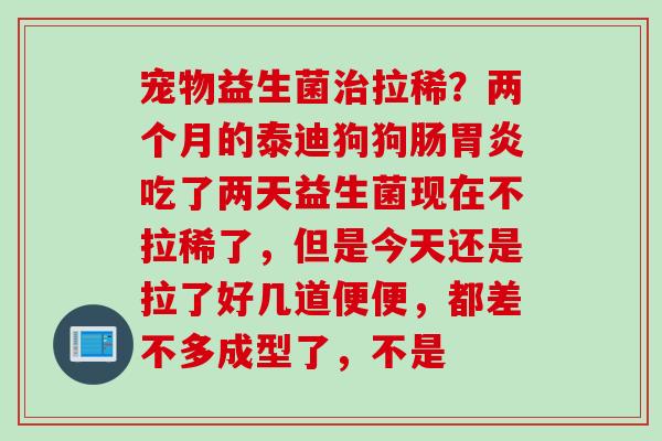宠物益生菌拉稀？两个月的泰迪狗狗肠吃了两天益生菌现在不拉稀了，但是今天还是拉了好几道便便，都差不多成型了，不是