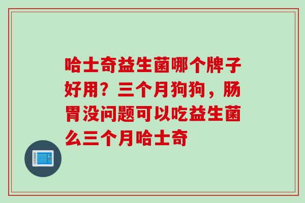 哈士奇益生菌哪个牌子好用？三个月狗狗，肠胃没问题可以吃益生菌么三个月哈士奇