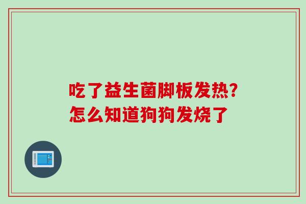 吃了益生菌脚板发热?怎么知道狗狗发烧了 吃了益生菌脚板发热?怎么知道狗狗发烧了