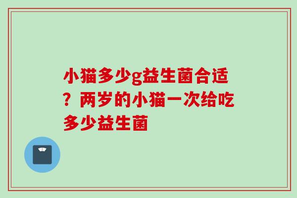 小猫多少g益生菌合适？两岁的小猫一次给吃多少益生菌